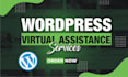 be your professional wordpress virtual assistant