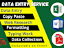 do accurate data entry typing and copy paste