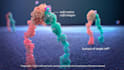 create 3d cancer drug mechanism of action medical animation pharma biotech video
