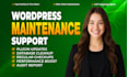 provide wordpress website maintenance, help, and support monthly