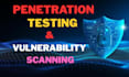 do penetration or vulnerability testing and security audit