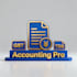 provide professional accounting bookkeeping services