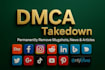 send dmca takedown notices to remove stolen content from google and websites
