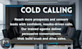 do professional cold calling for your business