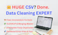 do data entry, cleaning, formatting, merging and deduplication for CSV, excel
