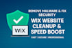 remove malware, fix security and speed issues on your wix website