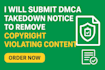 send dmca takedown notice to remove copyright violating content from internet