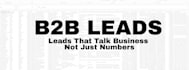usa b2b lead genaration