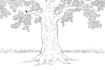draw black and white outline illustration diagram
