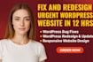 do urgent wordpress website fix and redesign in 12 hrs
