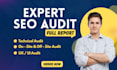 provide an expert website SEO audit to fix errors
