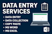 do data entry accurate and efficient