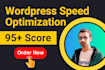 do wordpress speed optimization