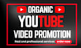 organic youtube video promotion with google ads