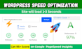 do wordpress speed optimization for google pagespeed, gtmetrix and pingdom