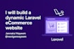 develop a secure laravel website with an admin panel