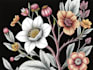 draw botanical and anatomical scientific illustrations