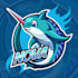 design dolphin logo illustration with hand drawn style
