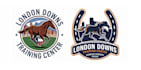design an awesome horse training logo
