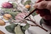 draw digital botanical illustrations