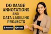 do data labeling and data annotation task using roboflow and cvat