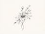 create minimalist tattoo, monoline, line art illustration
