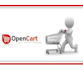 install and setup any opencart plugin