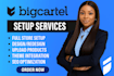 create, design, and redesign big cartel website