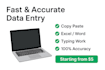 do fast and accurate data entry for you