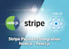 develop a full stripe payment system in reactjs and nodejs