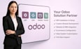 odoo installation, odoo setup, customization, integration, erp implementation