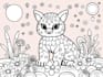 create a custom digital coloring book for kids or adults
