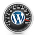 speed up and optimize wordpress website speed optimization