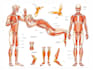 draw exercise, medical and anatomy illustrations