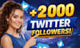 grow your twitter or x 2,000 followers