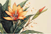 create amazing botanical illustration art