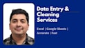 do data entry, cleaning, and professional formatting in excel or google sheets