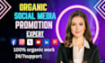 do increase social media followers