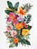 make a botanical illustration
