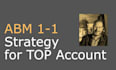 provide 1to1 abm strategy that drives success