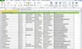 provide excel data cleaning, format, and data formatting