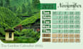design a professional desk calendar with elegant themes