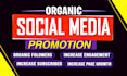 increase social media followers
