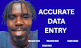 be your  accurate CRM data entry specialist
