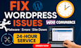fix, solve, wordpress errors bugs site down issues clean malware urgently fast
