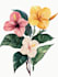 draw an unique botanical illustration