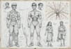 draw professional medical concept sketches