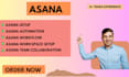 setup asana dashboard, workflow, workspace setup, crm, trello, clickup