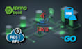 do restful apis, microservices, spring security using java, spring boot and go