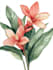 illustrate best botanical illustration